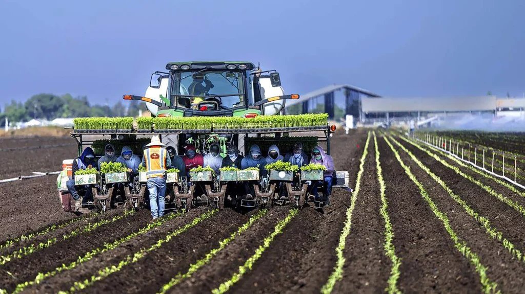 90% of CA Farmworkers Fear Deportation Under Trump