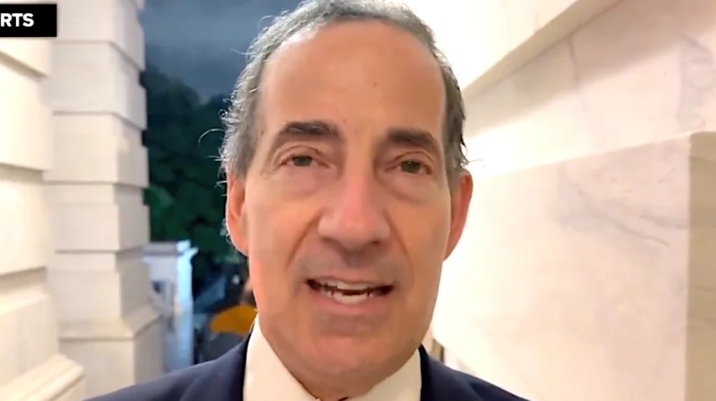 Raskin Praises Mary Trump as “Silver Lining”