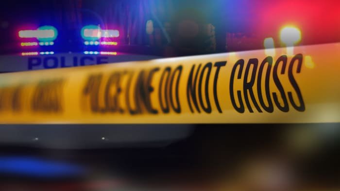 Mother found dead in Wyandotte after domestic dispute call