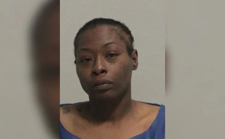 Woman accused of stabbing firefighter pleads insanity