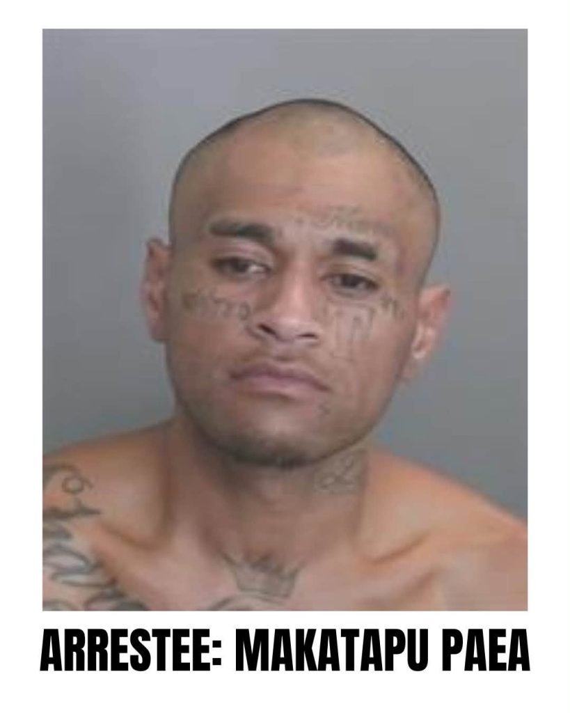 Makatapu Paea Arrested in La Reina Market Burglary