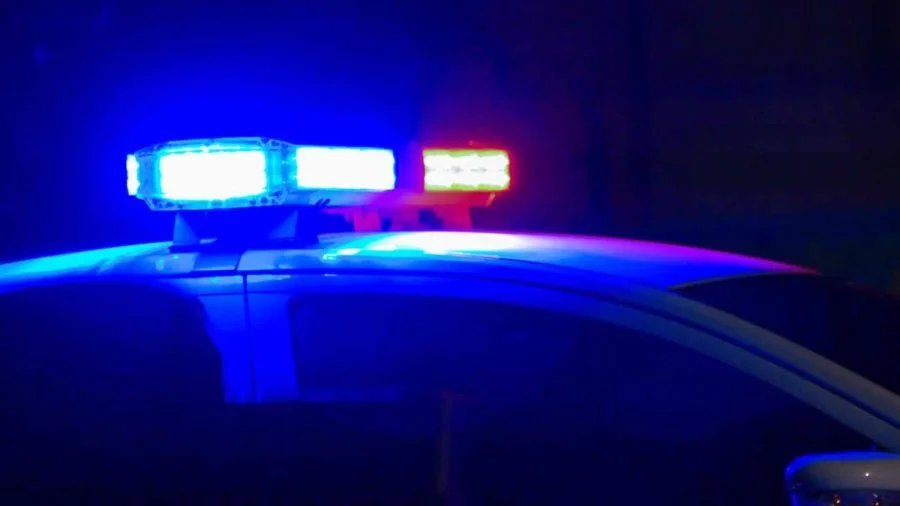 Man charged after dead cat thrown on neighbor’s yard
