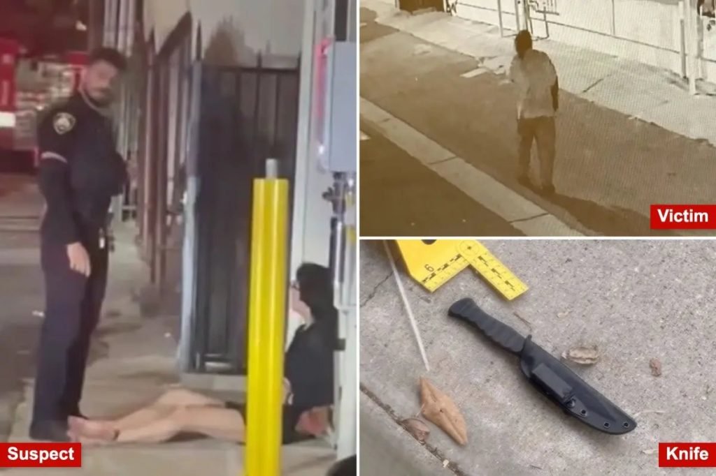 Beverly Hills Teen Claims Self-Defense in Fatal Alley Stabbing