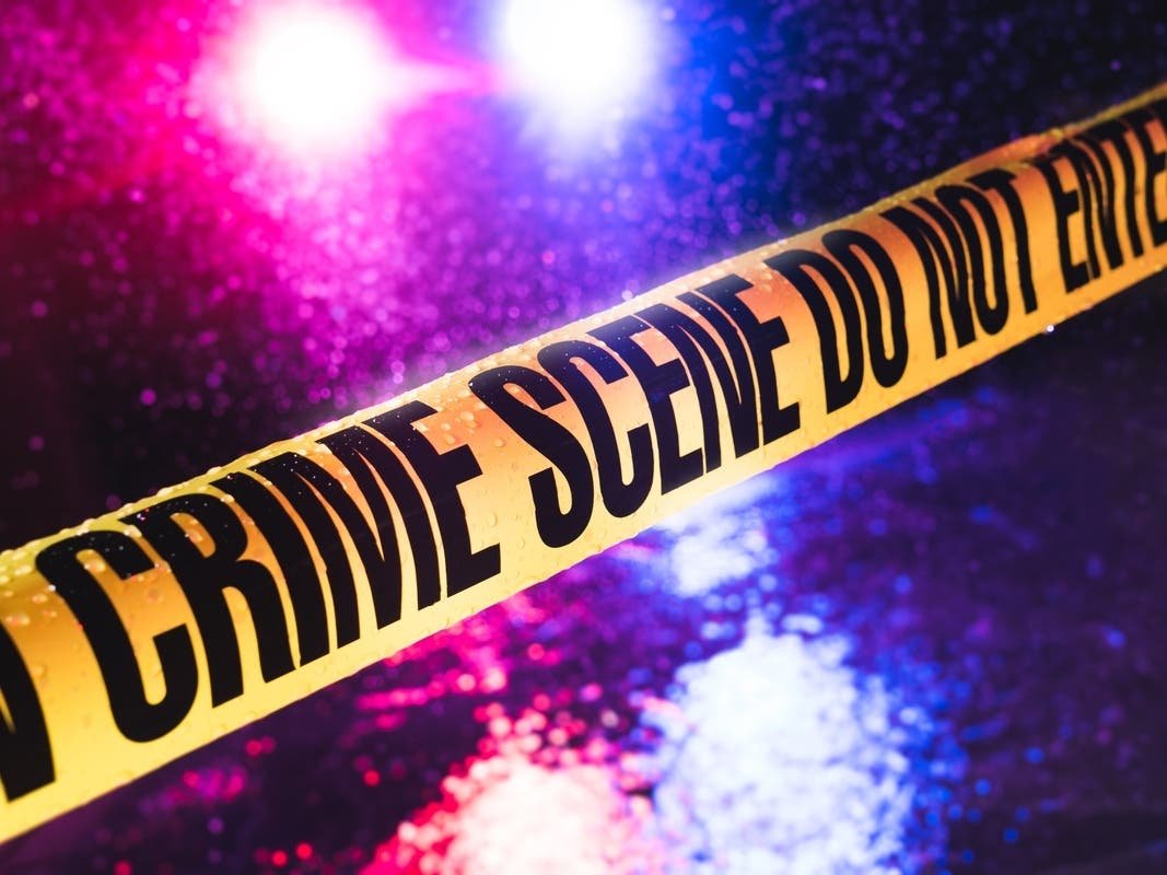 Human Skeletal Remains Found + Landscaper Electrocuted + Nor'Easter: Authorities - LI Crime, Safety Roundup