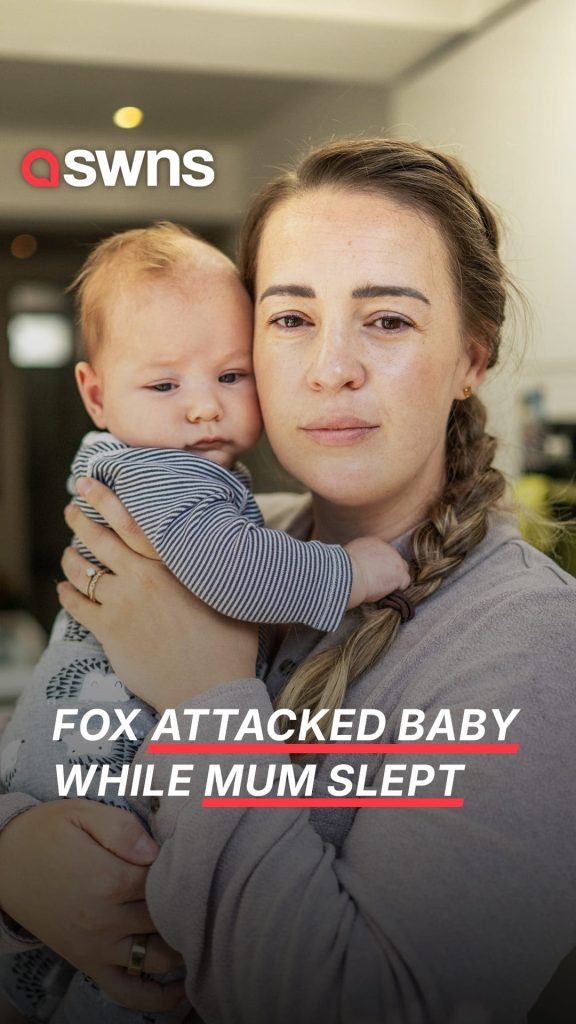 Rare Fox Attack Leaves Mother Fearful for Children’s Safety at Home