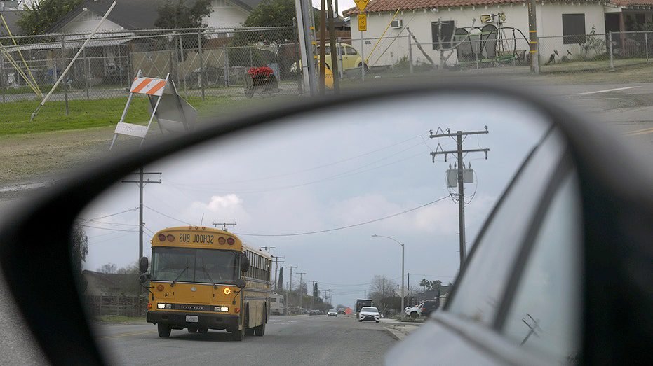 School bus driver charged after crash kills student