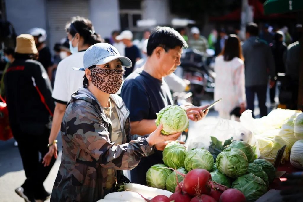 Blogger’s Video Sparks Nationwide Inspection of Formaldehyde-Treated Cabbages