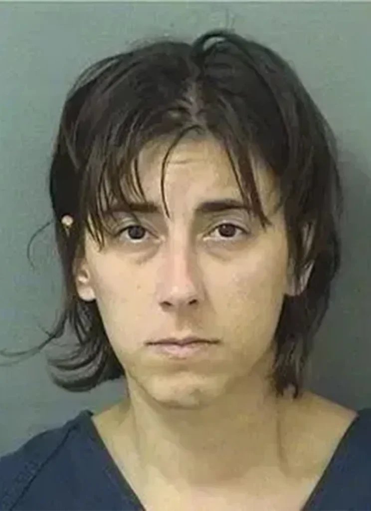 Woman crashes through Mar-a-Lago gate claiming it’s a car wash