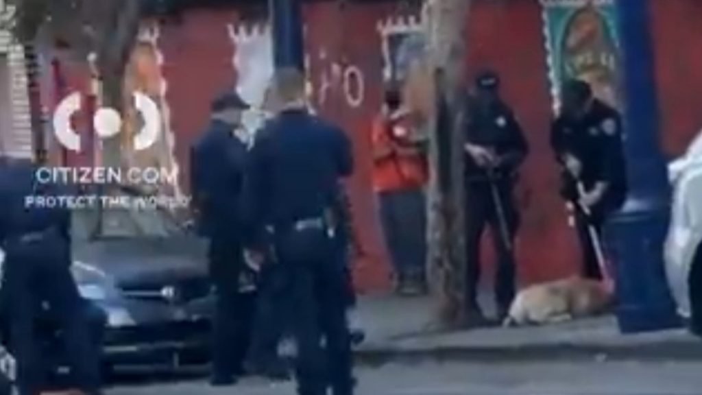 Dog kills person in Tenderloin; animal shot by SFPD