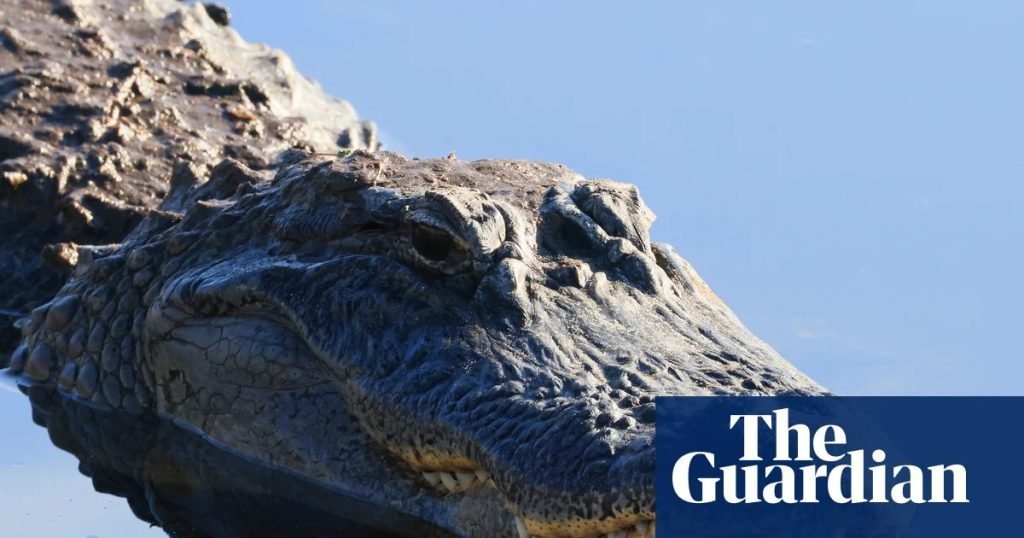 Fatal Alligator Attack in Winter Garden Highlights Local Wildlife Risks