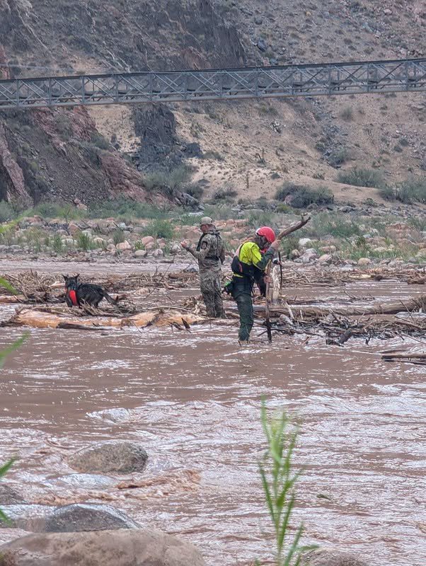 Missing after flash floods sweep Grand Canyon: search intensifies