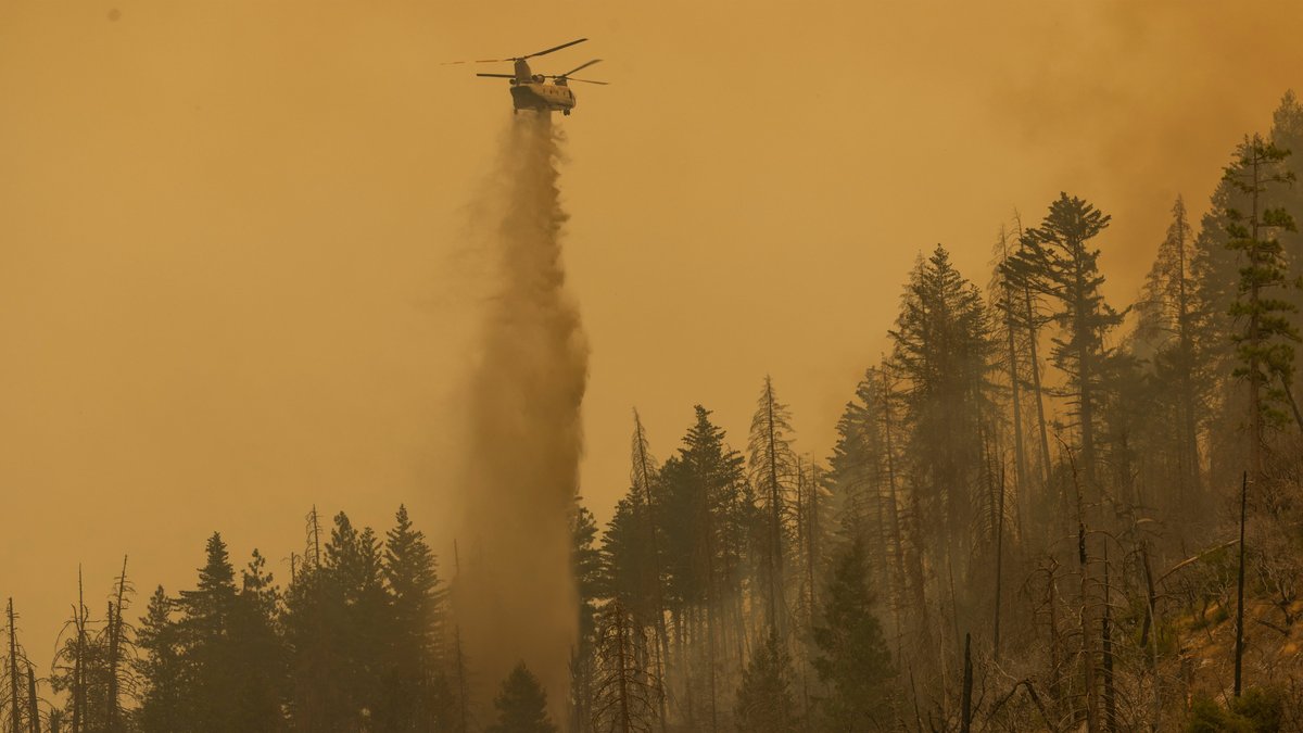 Two Dead After Helicopter Crashes in Popular National Park