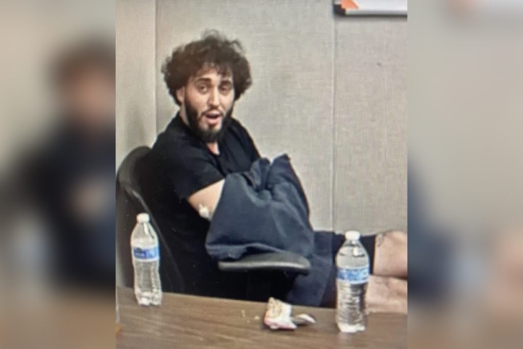 Man pleads insanity in shotgun deaths of mom, brother