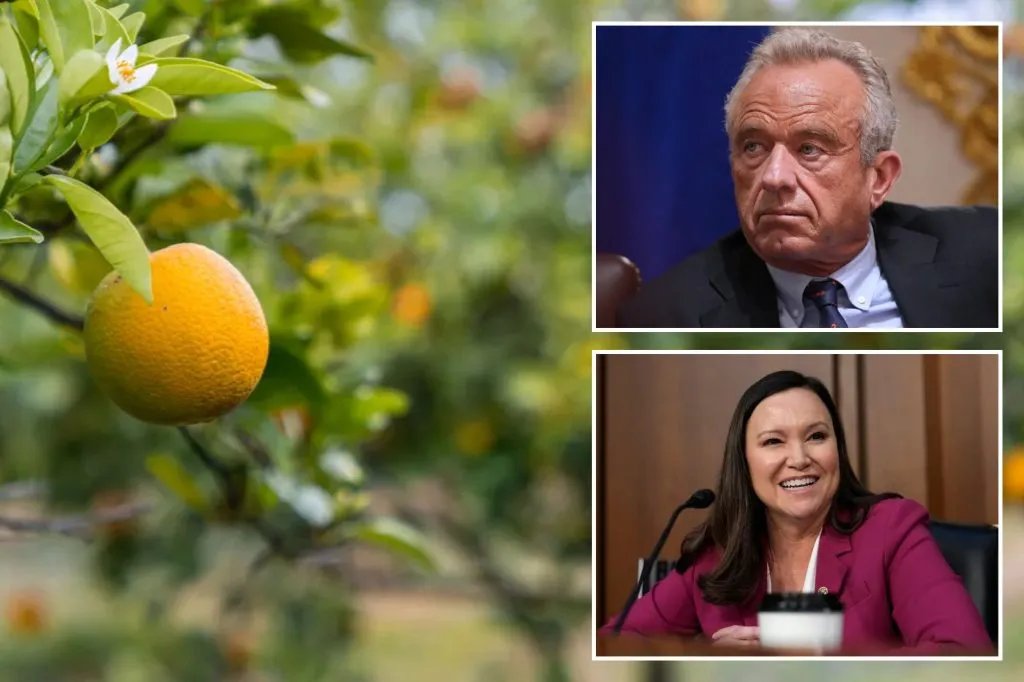 RFK Jr. Lowers Sugar Rules to Help Florida Orange Juice