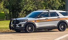 Pack of stray dogs kills man in Illinois
