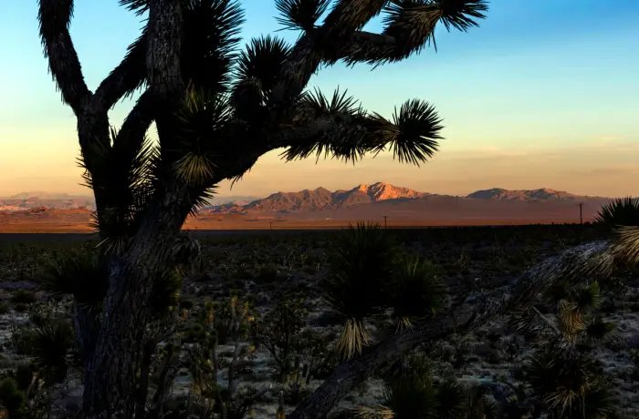 Trump Shrinks Utah Monuments, Nevada’s at Risk
