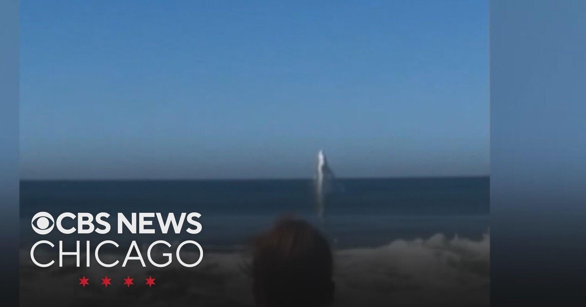 Great white shark photobombs beachgoers in California