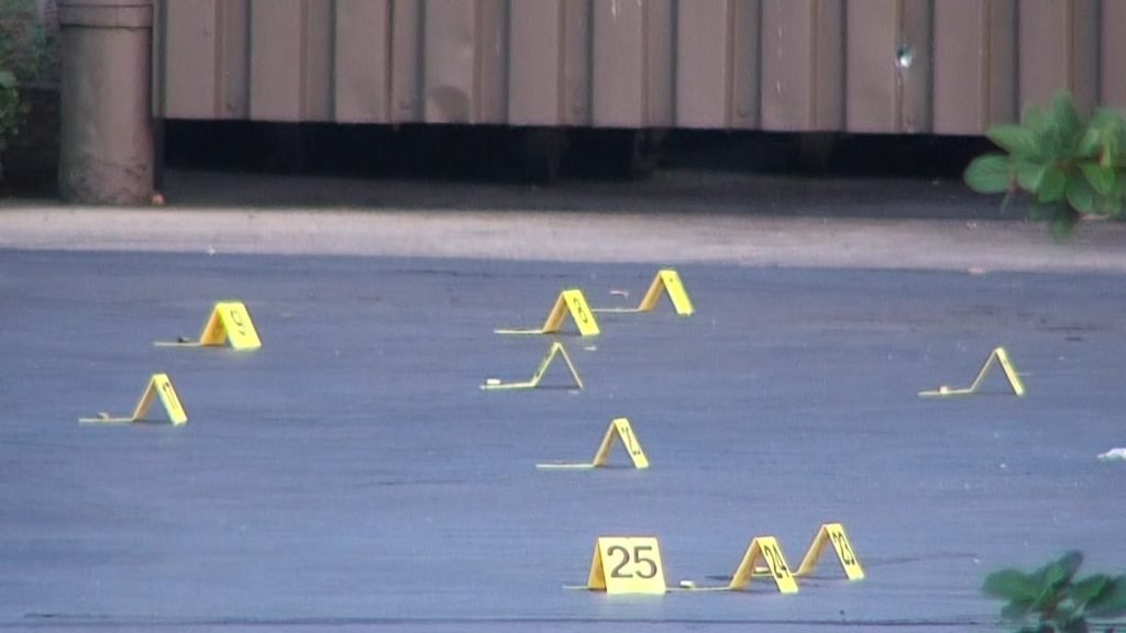 Teen Dies Week After South Austin Shooting