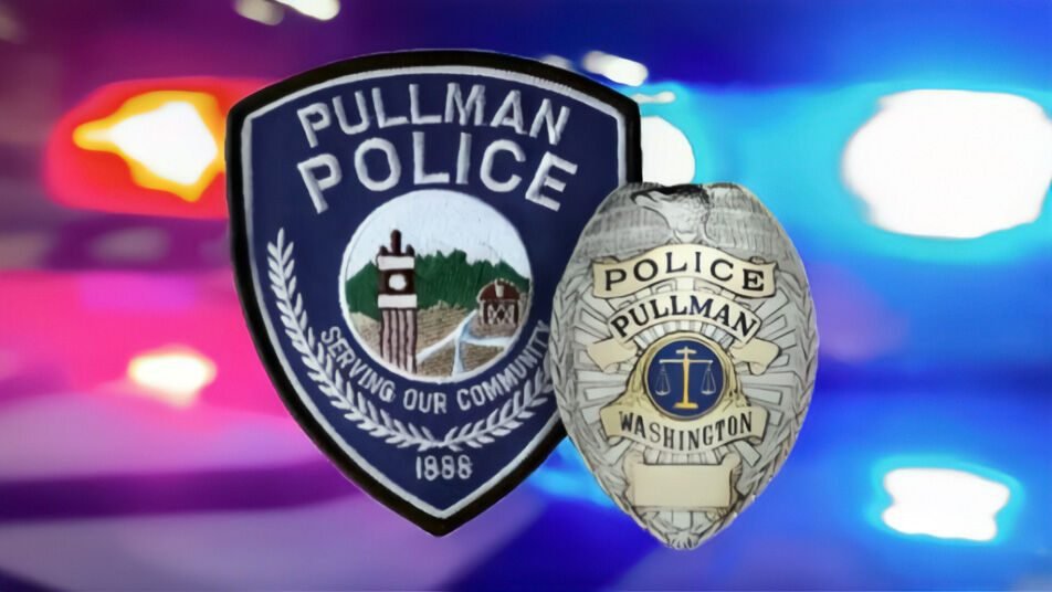 Alexander Murphy, 24, Arrested in Pullman Rape Case