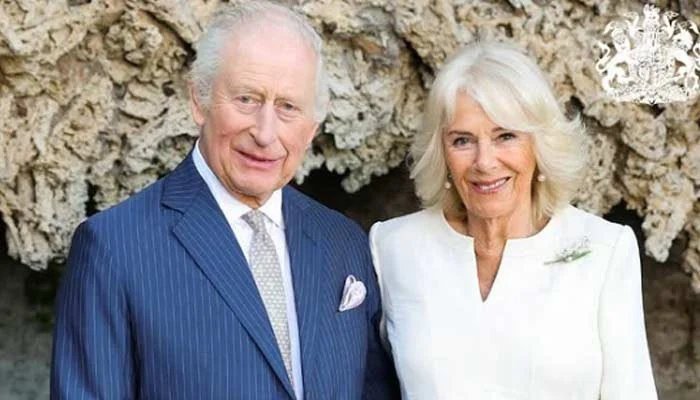 Queen Camilla’s Ultimatum Sparks Royal Dilemma Over Harry and Meghan