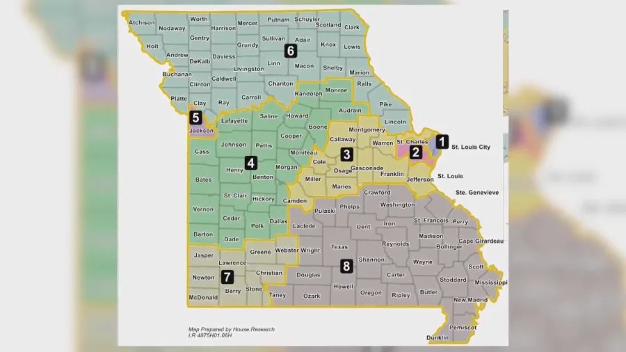 Hoskins Blocks Redistricting Vote, Faces Lawsuit