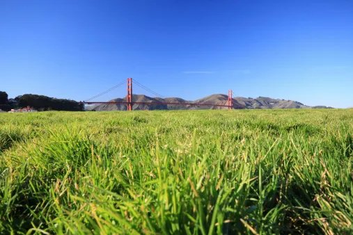 Person stabbed near Crissy Field in SF