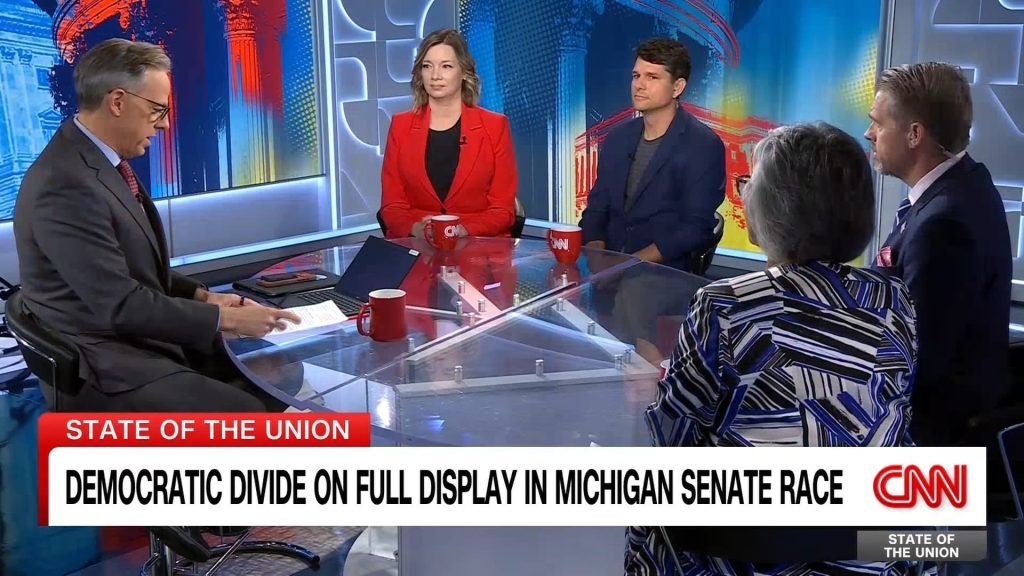 Democrats Split on Michigan Senate Strategy Ahead of Fall