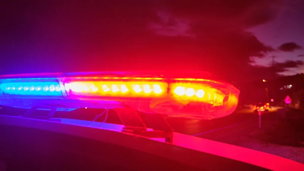 Man sentenced to 5 years for ditching loaded gun