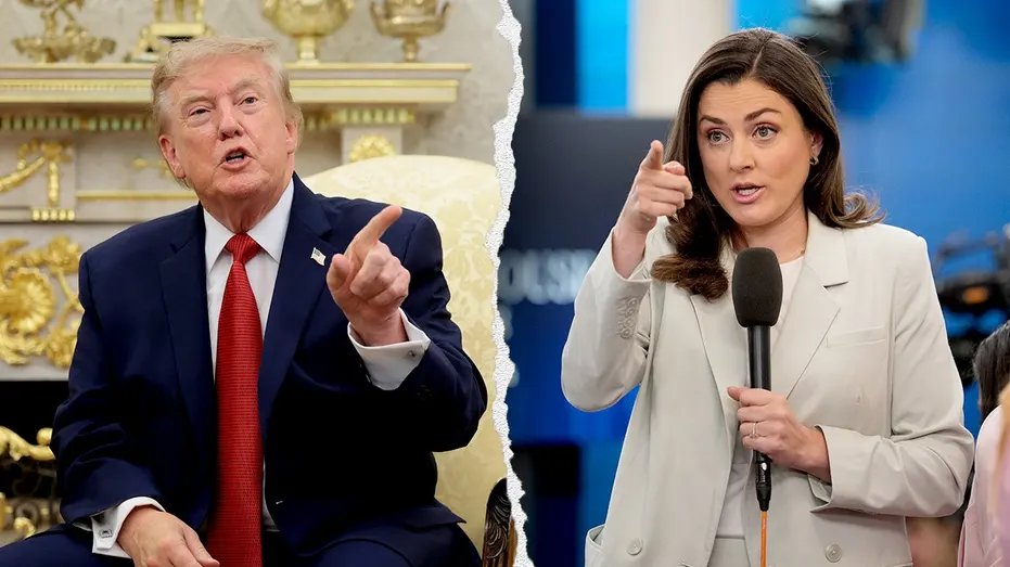 White House Attacks CNN Reporter Over Question to Trump