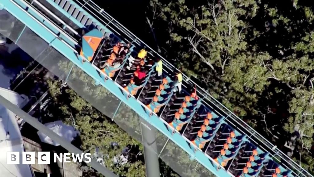 Witnesses Detail Fatal Fall on Six Flags Rollercoaster in Georgia
