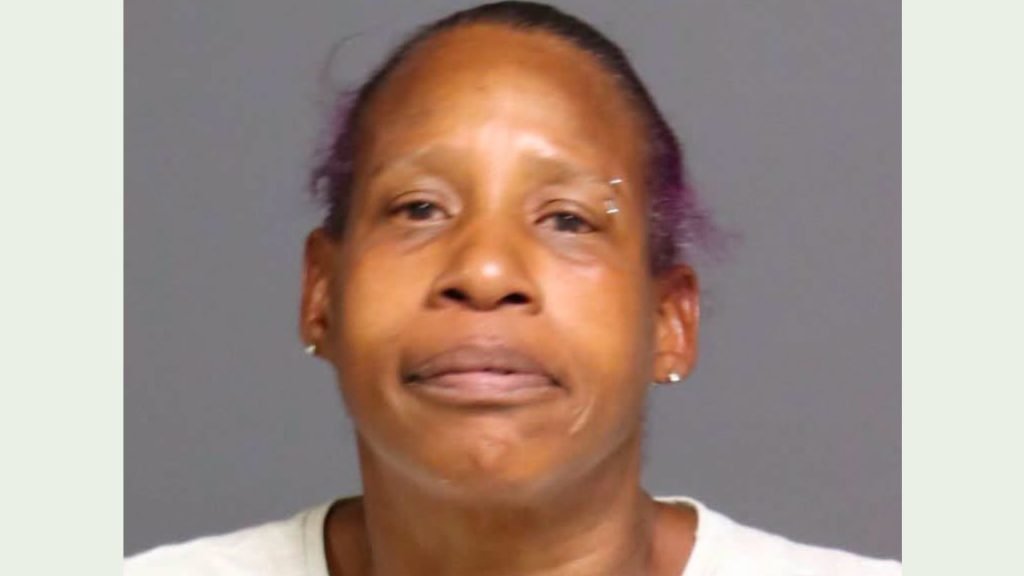 Jennifer Pought, 56, Arrested for Violating Protection Order in Rome Dispute