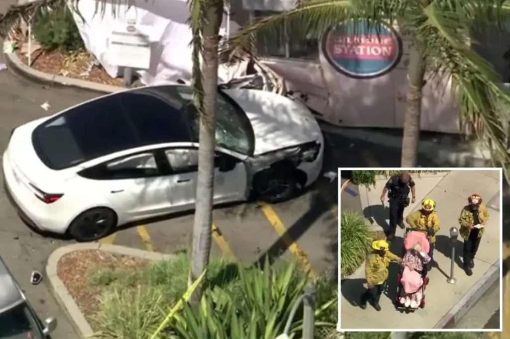 80-Year-Old Tesla Driver Crashes into LA Trader Joe’s, Killing One