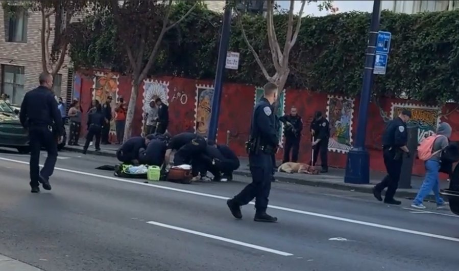 Woman dragged by dog in SF Tenderloin attack