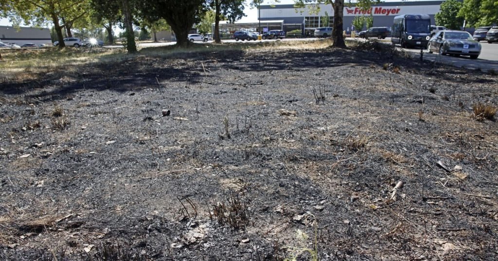 Man Sentenced for Arson Near Albany Fred Meyer