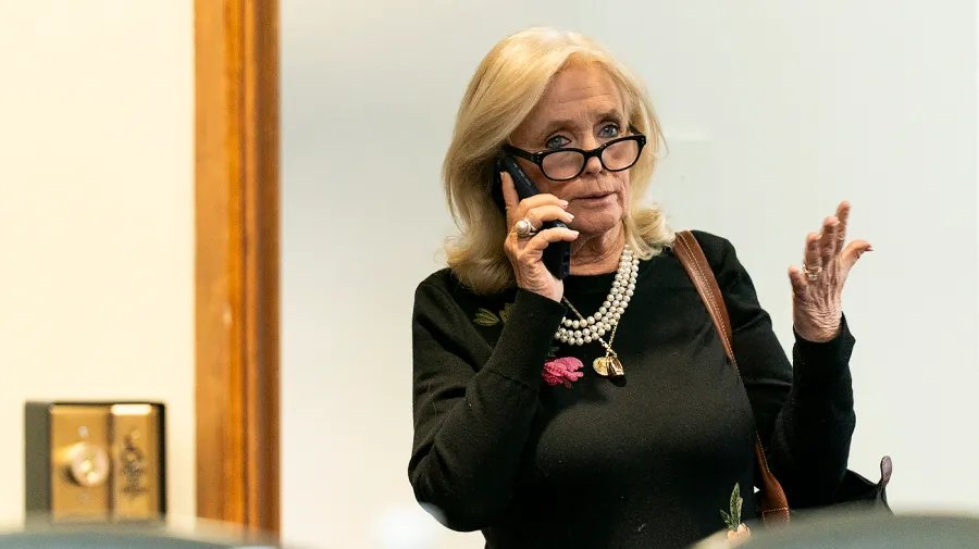 Dingell Mocks Trump’s Lake Rename Plan With Natalie Jab