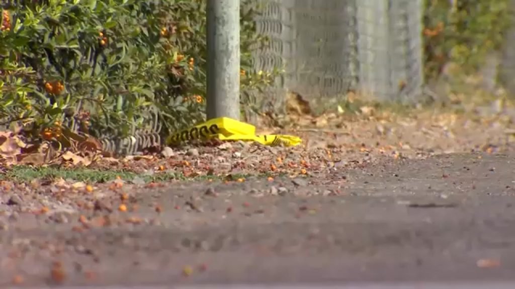 21-Year-Old Suspect Identified in Los Banos Fairgrounds Shooting