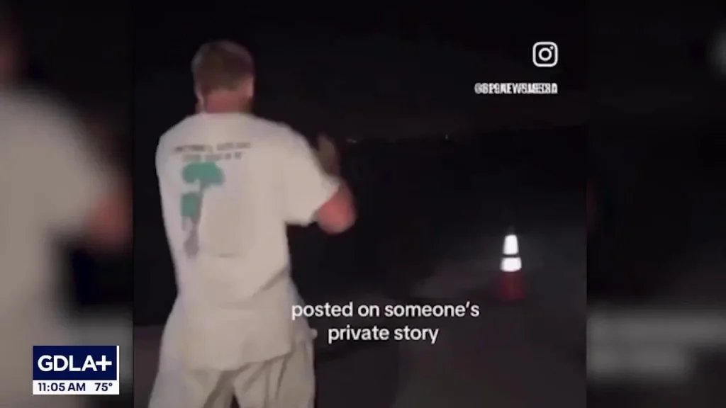 Cop Shoots Family’s Pet Donkey—Why Was He There?