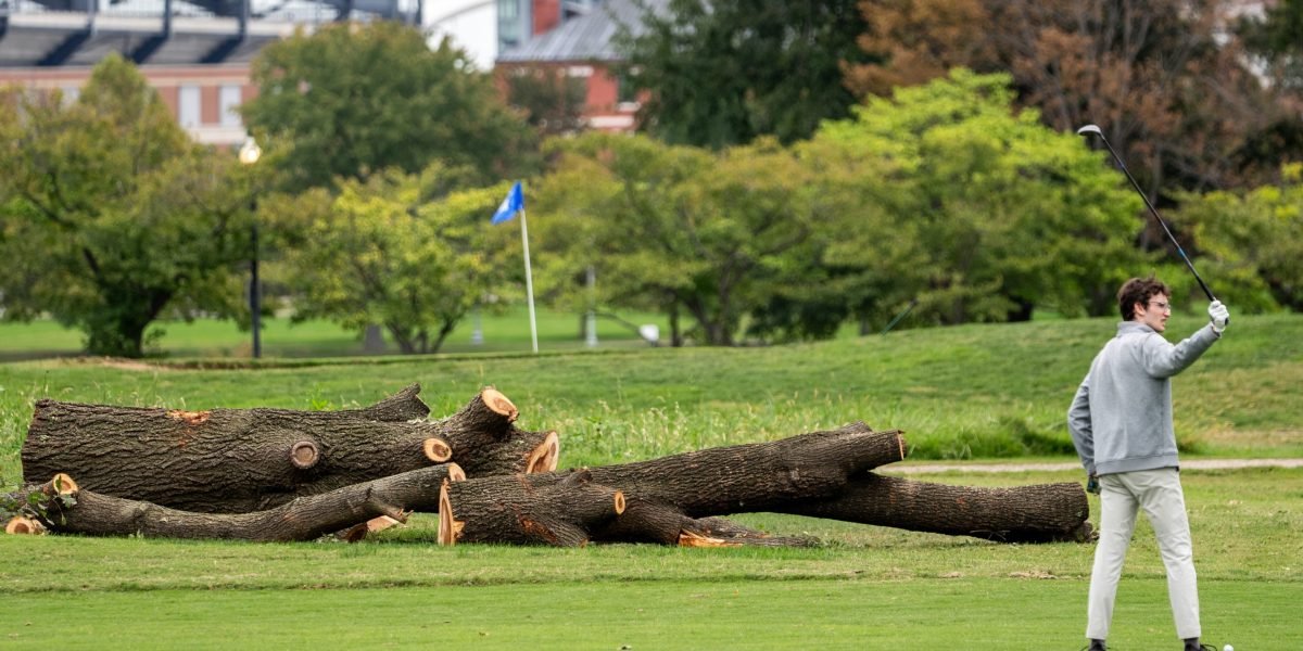Park service will remove over 500 trees from a historic golf course Trump is redesigning