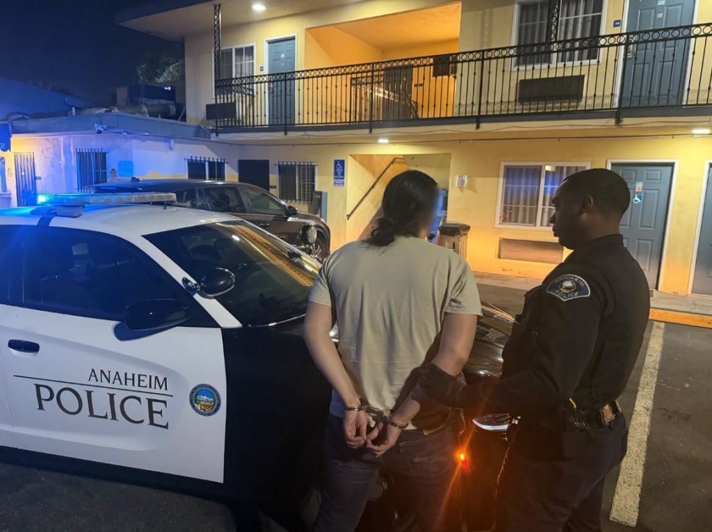 Ten Arrested in Anaheim Human Trafficking Sweep