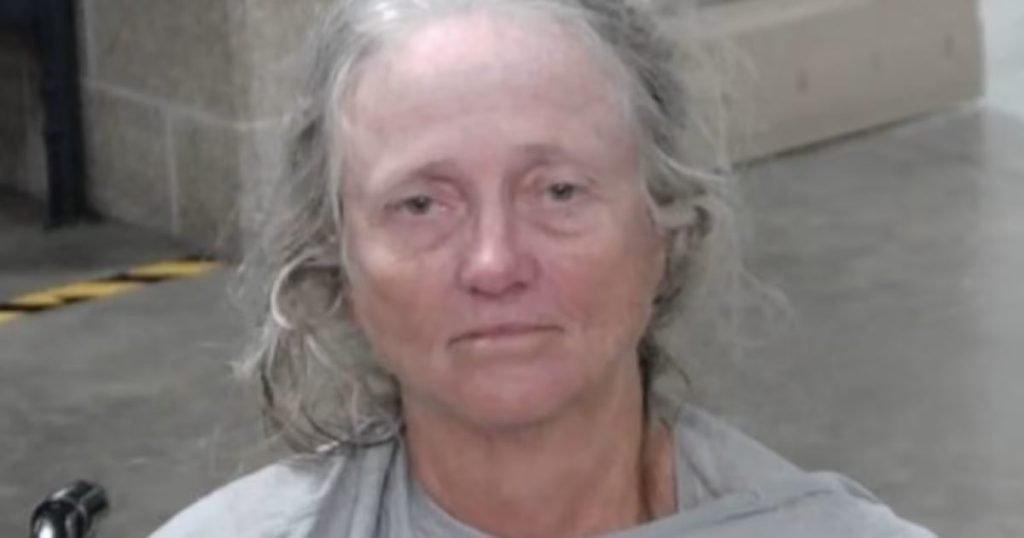 Woman Accused of Library Shooting Ruled Incompetent