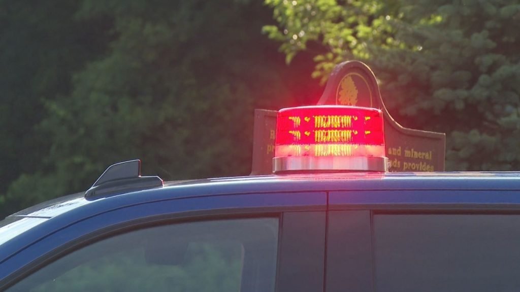 Two Men Arrested After Victim Left in Michigan Swamp