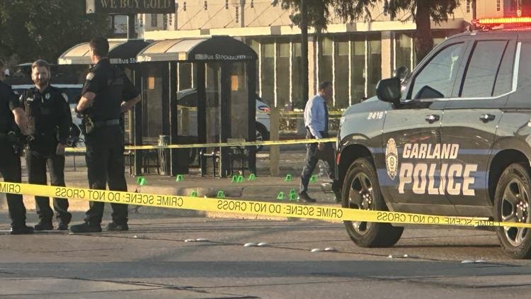 Man with machete shot dead by Garland police