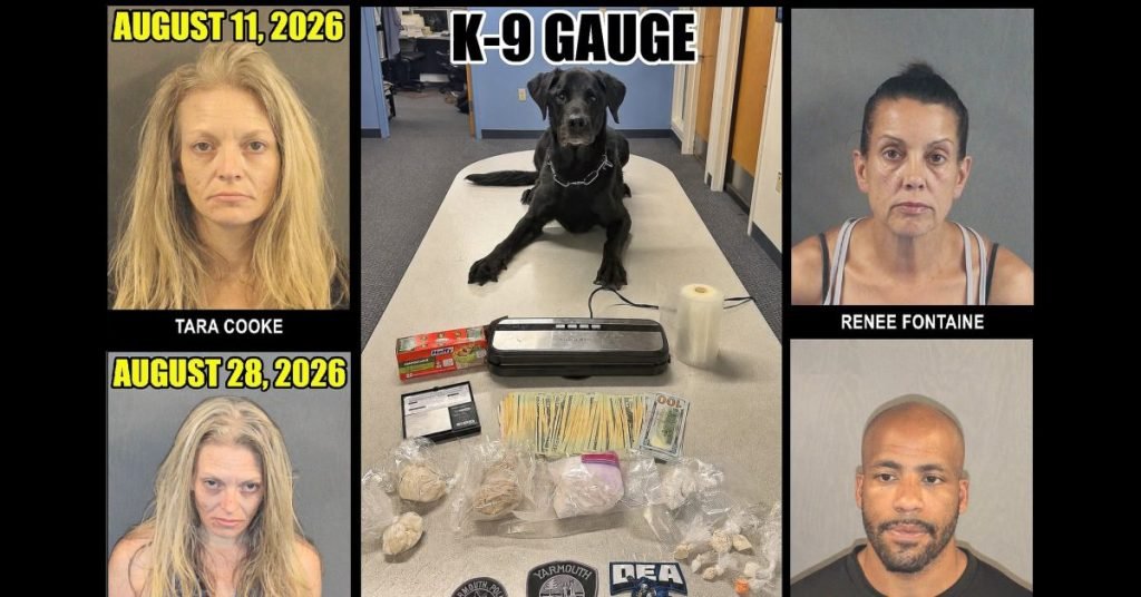 Cape Cod Woman Arrested Twice in 17 Days With Fentanyl