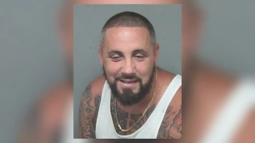 Man charged in deadly Springfield hit-and-run