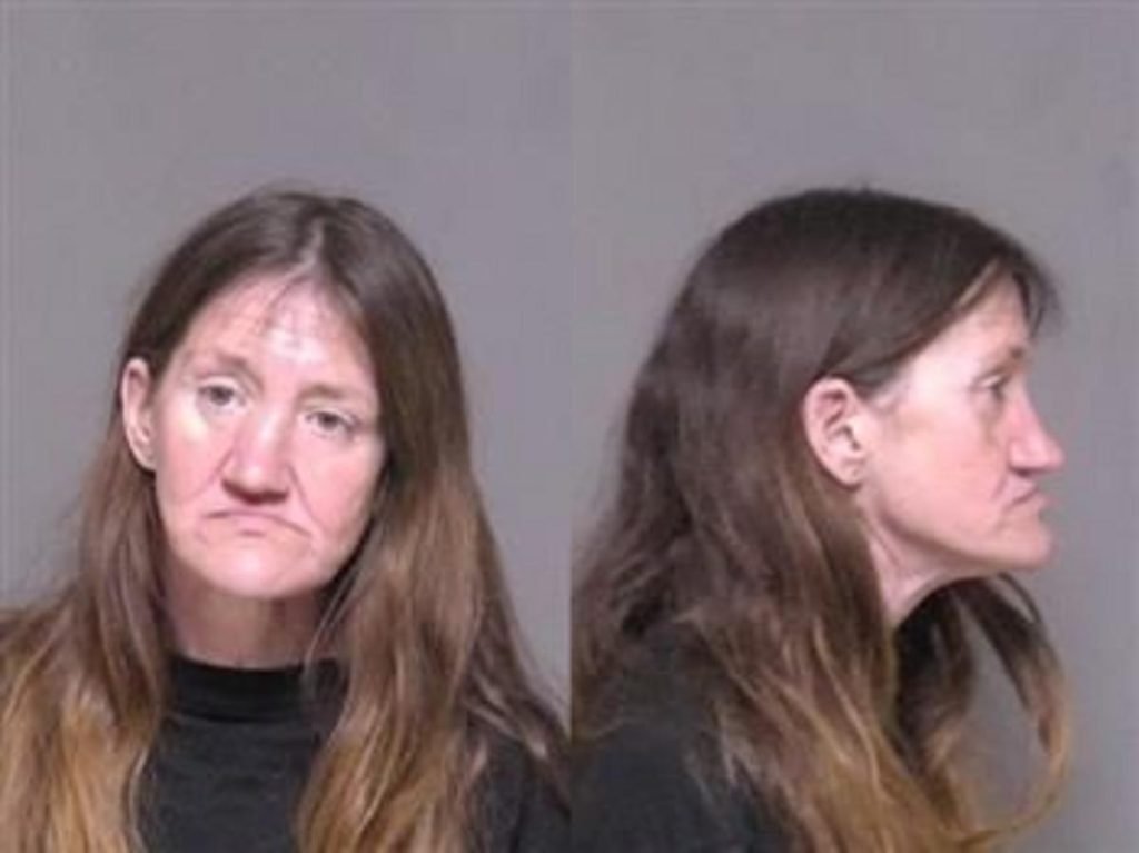 Rochester Woman Guilty of Setting Two Fires