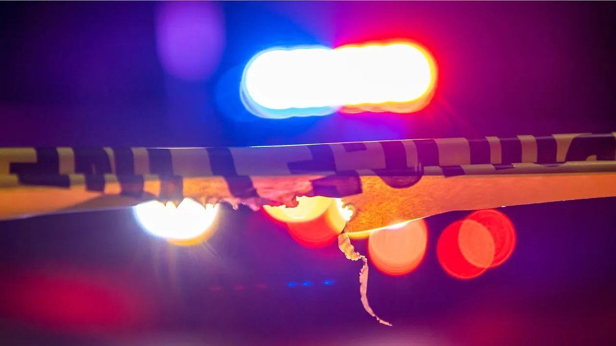 Carolyn Crayton Park Mass Shooting: Multiple Injured in Georgia Attack