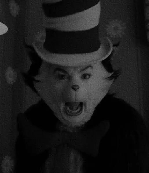 Schools Adapt to ‘Cat in the Hat’ Threats with New Safety Protocols