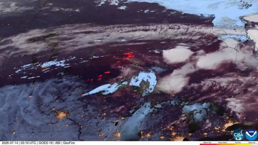 Trump Forest Chief Caught Lying About Wildfire Cuts