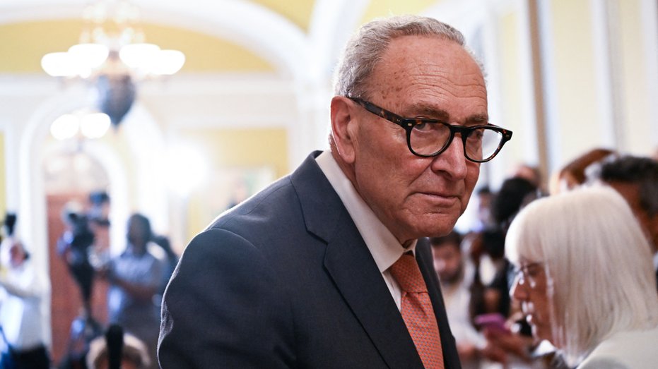 Schumer’s Anti-Corruption Speech Disrupted by Gaza Heckler