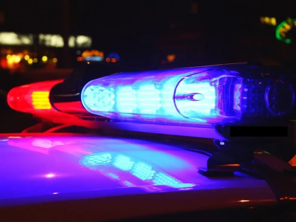 Pedestrian killed on Fremont boulevard—8th death this year